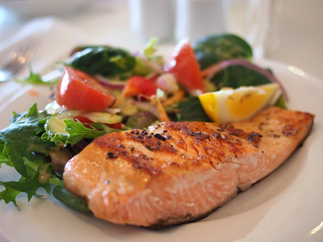 salmon 510