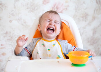 Three-Year-Old Refuses To Eat Dinner: What You Should Do